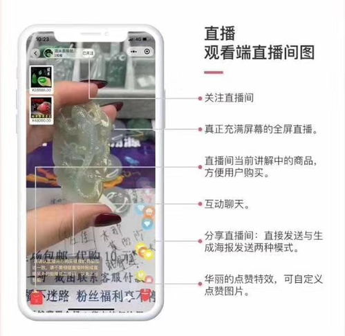 直播系統(tǒng)開(kāi)發(fā)91短視頻系統(tǒng)開(kāi)發(fā) 專業(yè)開(kāi)發(fā),質(zhì)量保證